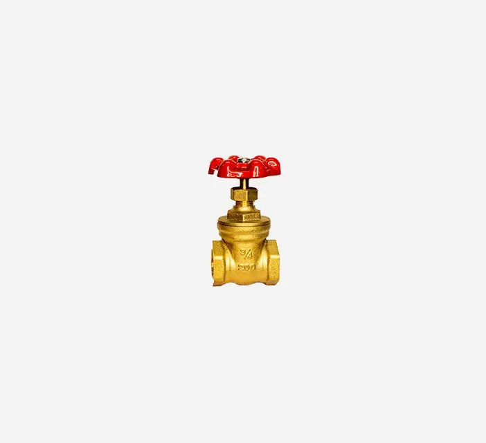 Akita Gate Valve – Durable Brass Construction 1