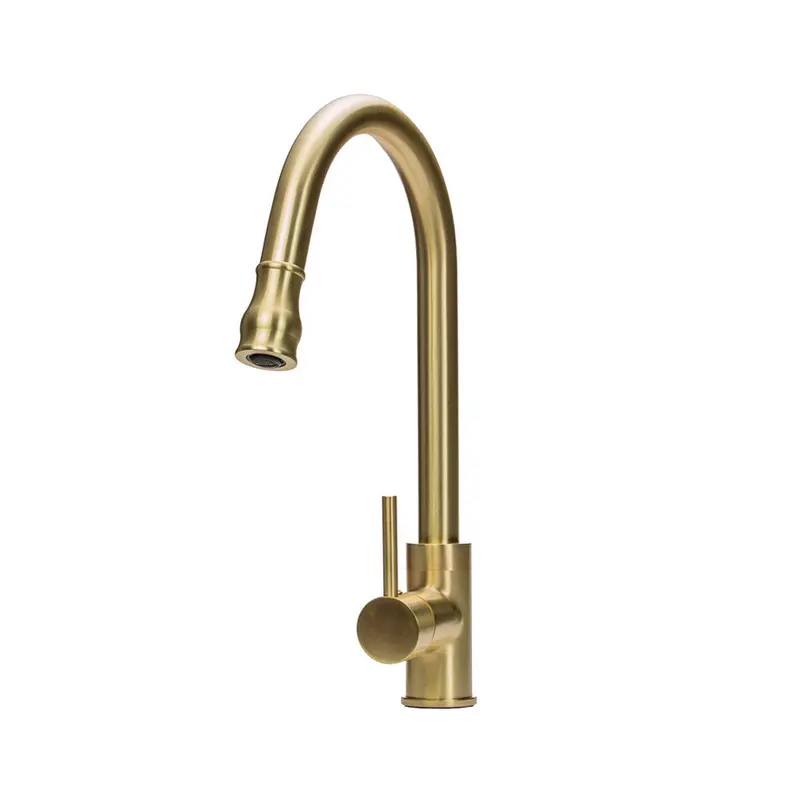 Aurum Extendable Kitchen Faucet – Trendy Taps Retractable Design 1