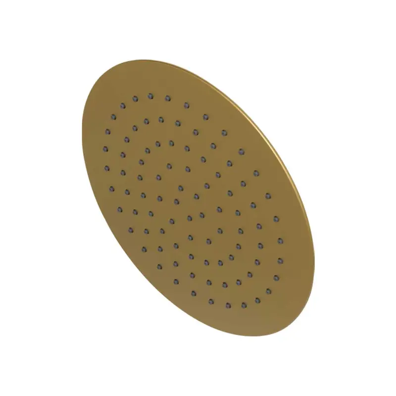 Blutide 250Mm Brushed Brass Rose Shower Head 1