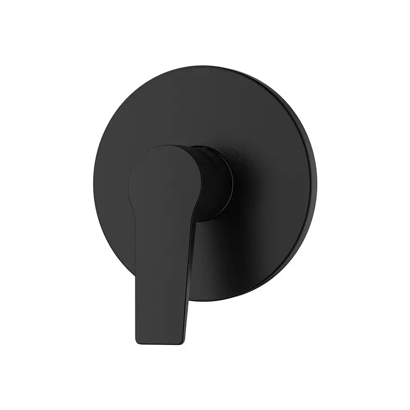 Franke Aspera Concealed Shower Mixer – Matte Black Finish 1