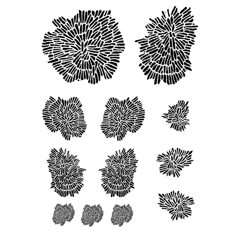 Rmr Rolling Mill Pattern: 'Organic Matter' — 5 X 7 Inches 1