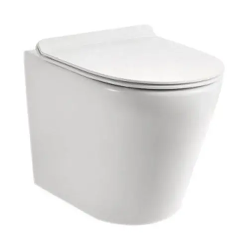 Vaal Entice Rimless Back-To-Wall Toilet Unit 1